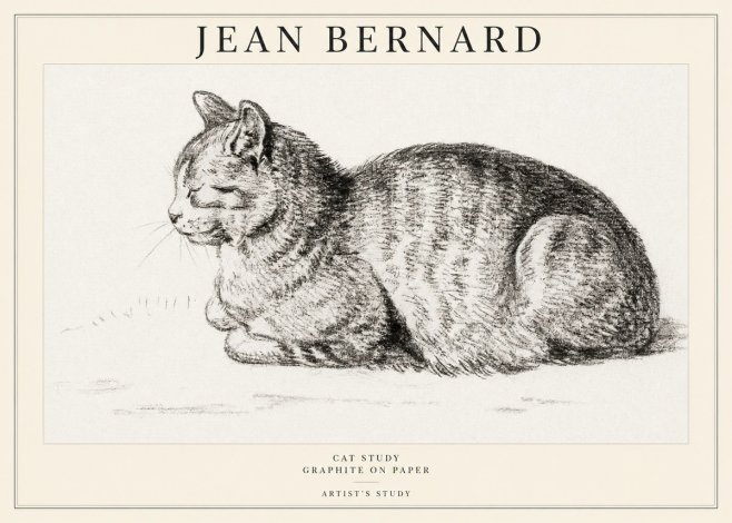 Jean Bernard Cat Study XII No1 - Poster