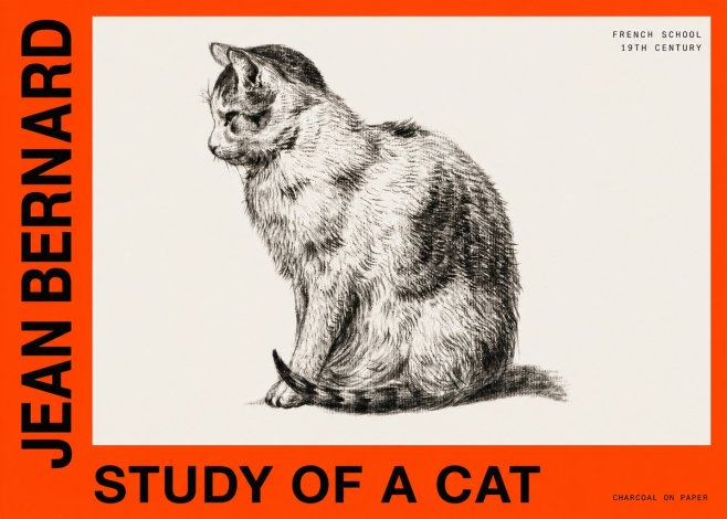 Jean Bernard Study of a Cat IV No6 - Poster