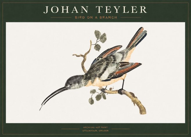 Johan Teyler Bird on a Branch No1 - Poster