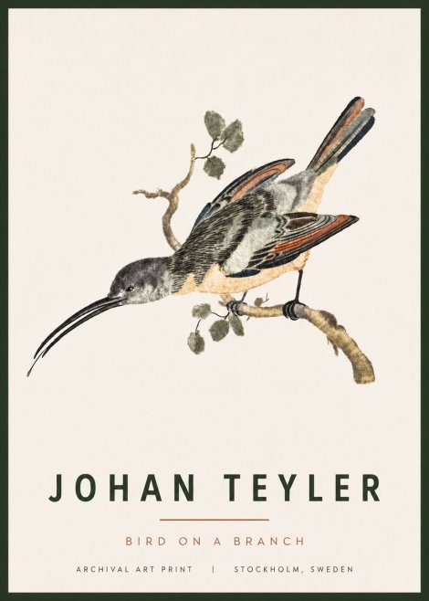 Johan Teyler Bird on a Branch No4 - Poster