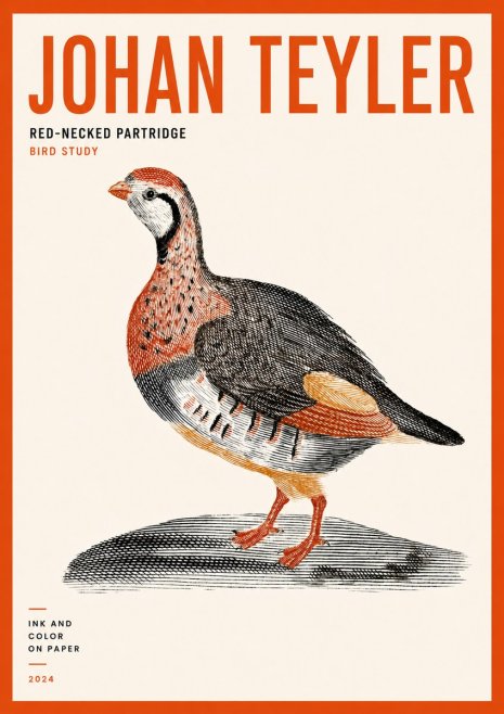 Johan Teyler Red-necked Partridge No5 - Poster