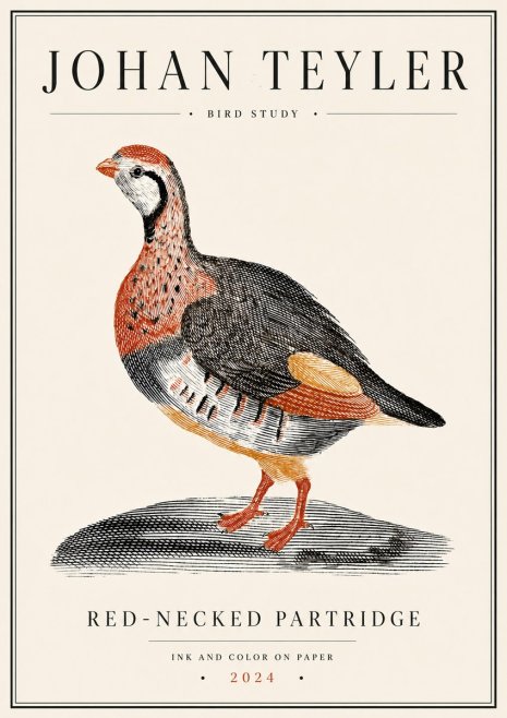 Johan Teyler Red-necked Partridge No6 - Poster