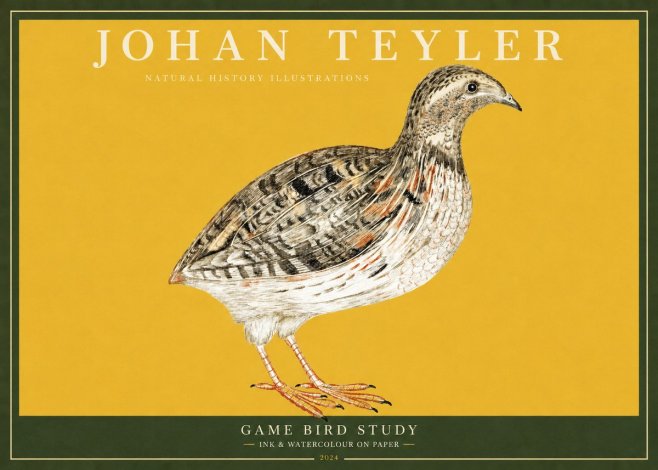 Johan Teyler Game Bird Study No2 - Poster