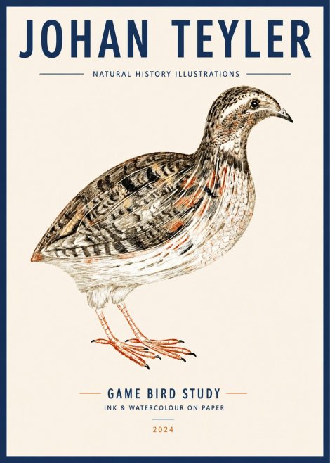 Johan Teyler Game Bird Study No3 - Poster