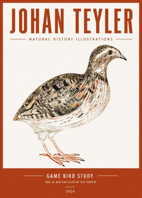 Johan Teyler Game Bird Study No4 - Poster