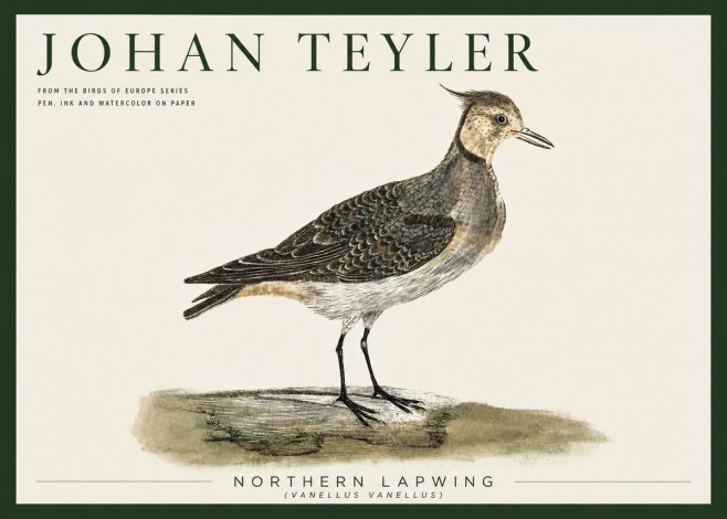 Johan Teyler Northern Lapwing (Vanellus Vanellus) No5 - Poster