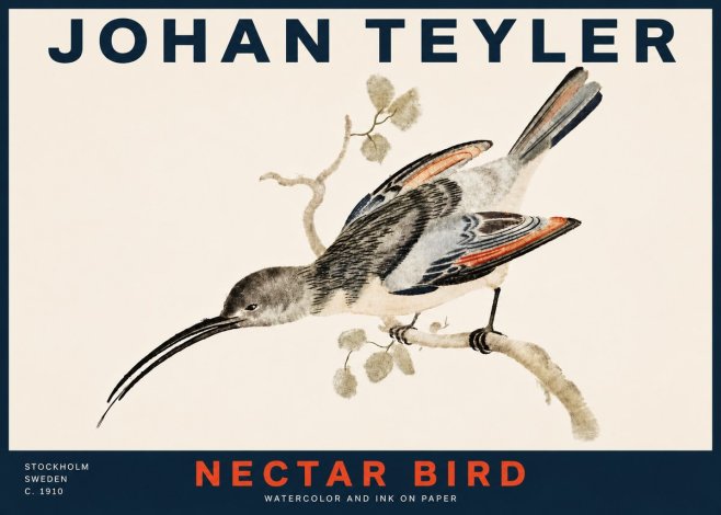 Johan Teyler Nectar Bird No4 - Poster
