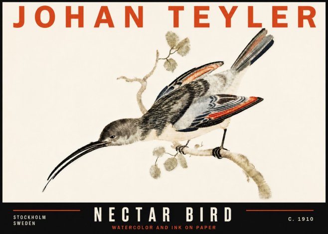 Johan Teyler Nectar Bird No6 - Poster
