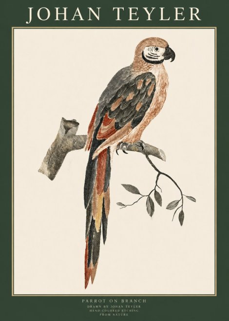 Johan Teyler Parrot on Branch No1 - Poster
