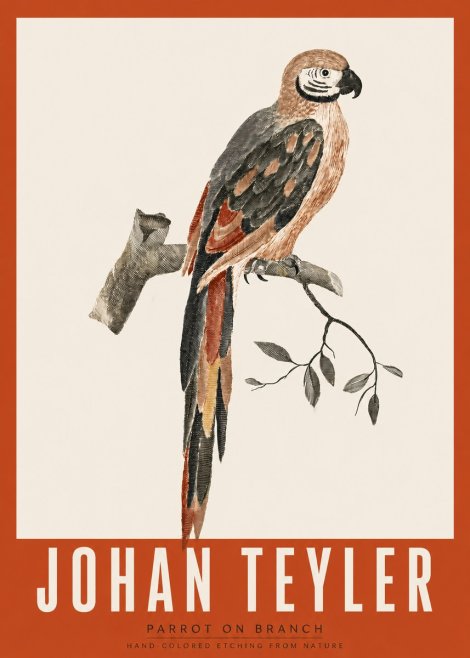 Johan Teyler Parrot on Branch No2 - Poster