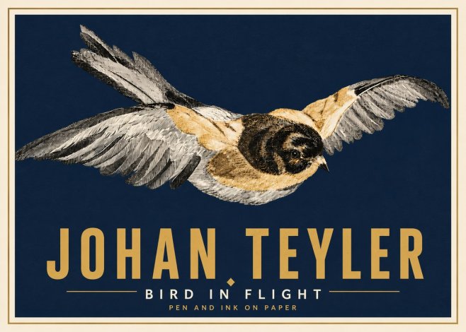 Johan Teyler Bird in Flight I No6 - Poster