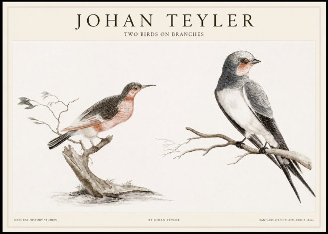 Johan Teyler Two Birds on Branches No1 - Poster