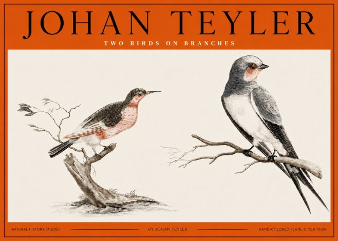 Johan Teyler Two Birds on Branches No2 - Poster