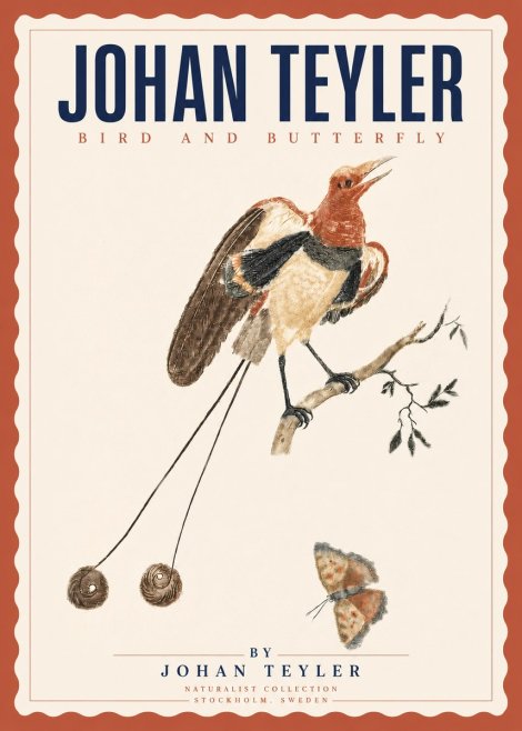 Johan Teyler Bird and Butterfly No3 - Poster