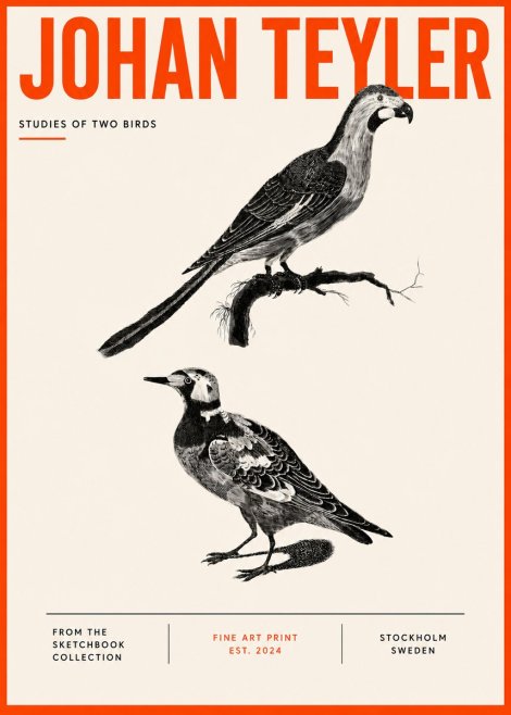Johan Teyler Birds - Study of Two Species No5 - Poster