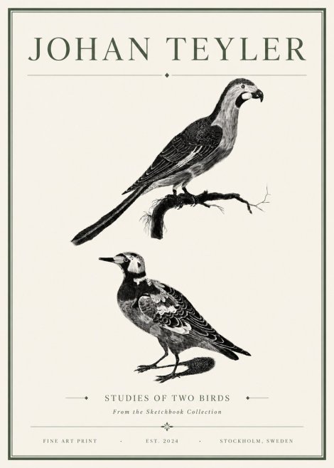 Johan Teyler Birds - Study of Two Species No6 - Poster