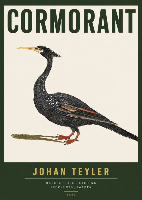 Johan Teyler Cormorant No3 - Poster