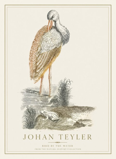 Johan Teyler Bird by the Water No1 - Poster
