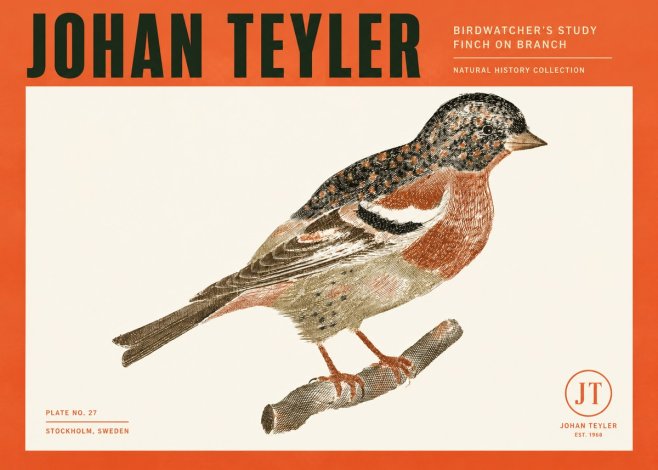 Johan Teyler Finch on Branch No2 - Poster