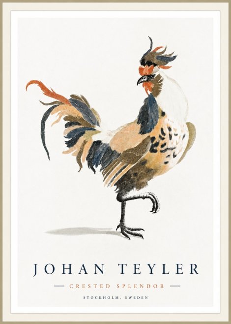 Johan Teyler Crested Splendor No1 - Poster