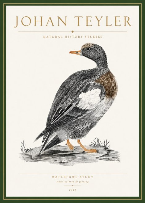 Johan Teyler Waterfowl Study No3 - Poster
