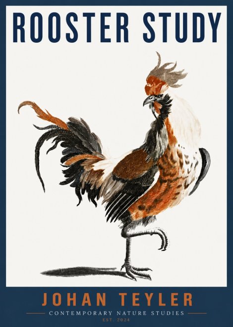 Johan Teyler Rooster Study No4 - Poster