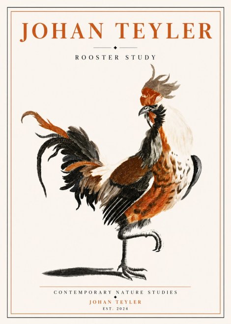 Johan Teyler Rooster Study No5 - Poster