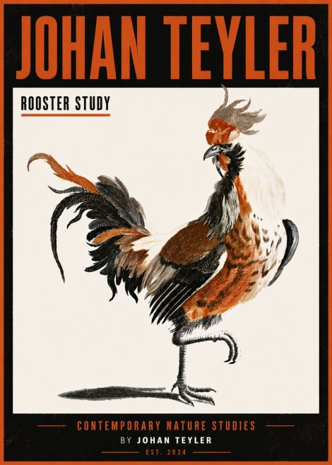 Johan Teyler Rooster Study No6 - Poster