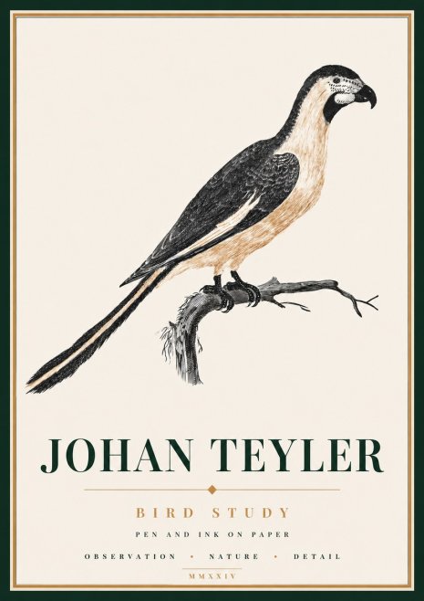 Johan Teyler Bird Study I No6 - Poster