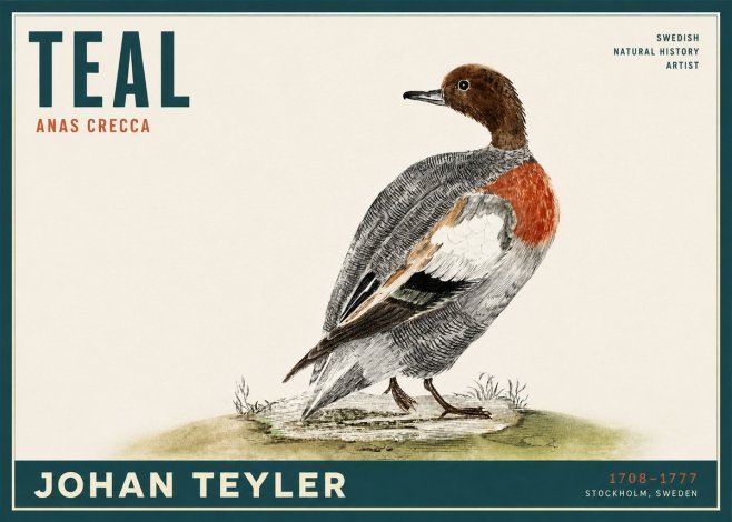 Johan Teyler Teal No2 - Poster