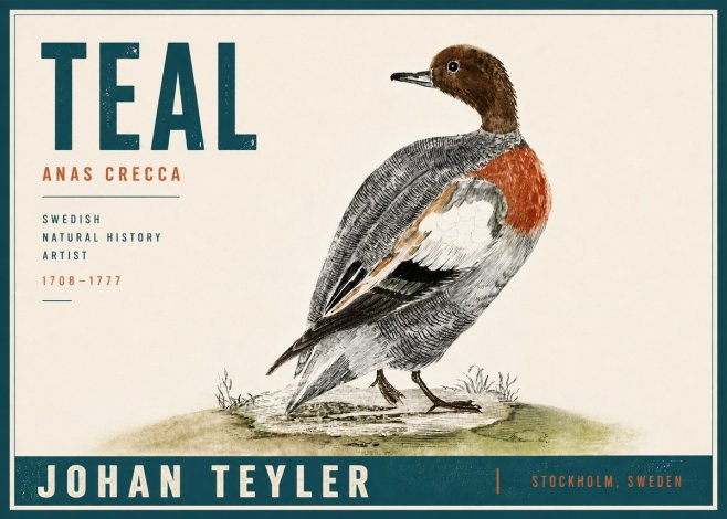 Johan Teyler Teal No5 - Poster
