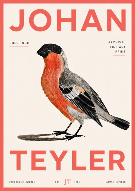 Johan Teyler Bullfinch No6 - Poster