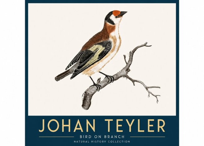 Johan Teyler Song of the Finch No4 - Poster