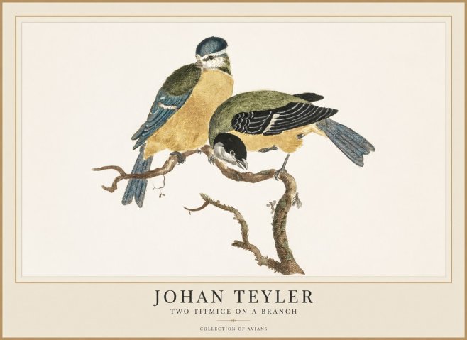 Johan Teyler Two Titmice on a Branch No1 - Poster