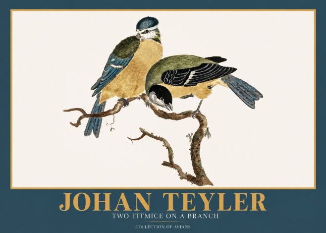 Johan Teyler Two Titmice on a Branch No2 - Poster