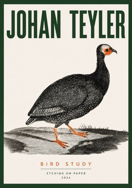 Johan Teyler Bird Study III No3 - Poster