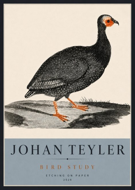 Johan Teyler Bird Study III No4 - Poster