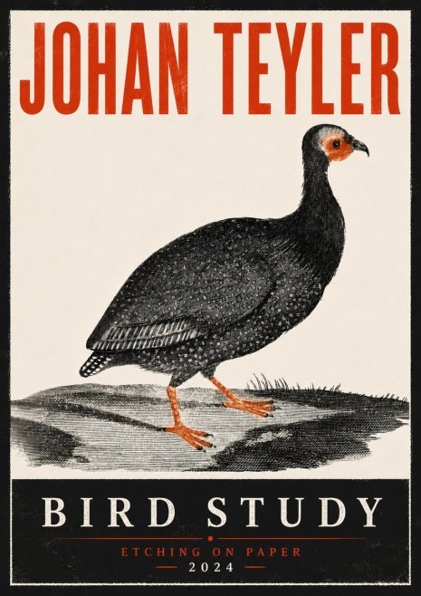 Johan Teyler Bird Study III No6 - Poster