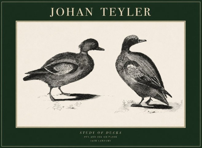 Johan Teyler Study of Ducks No1 - Poster