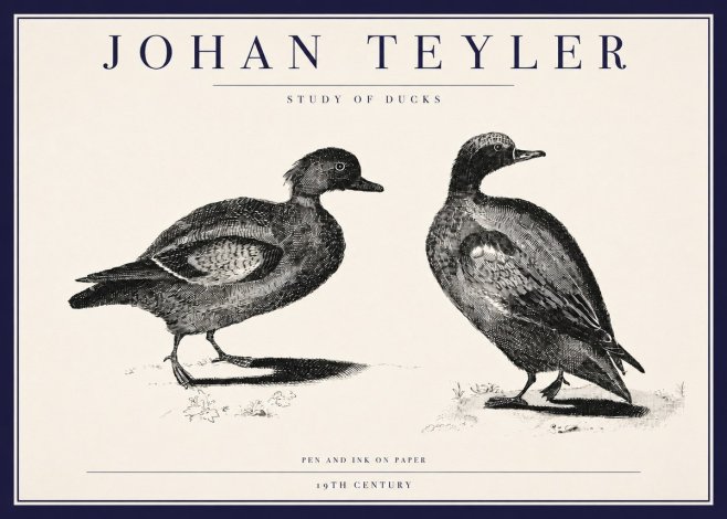 Johan Teyler Study of Ducks No3 - Poster
