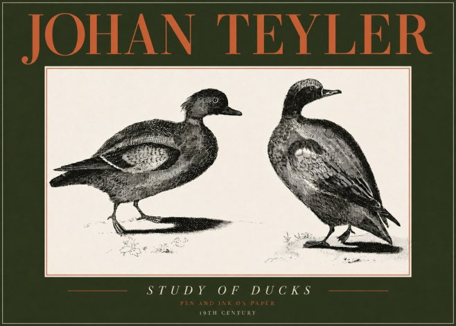 Johan Teyler Study of Ducks No4 - Poster