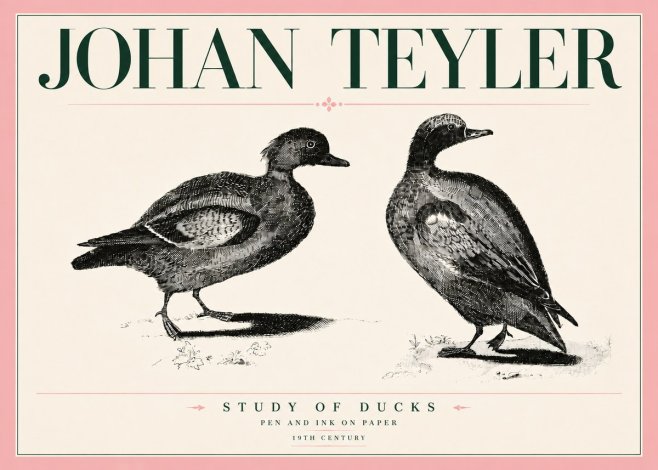 Johan Teyler Study of Ducks No5 - Poster