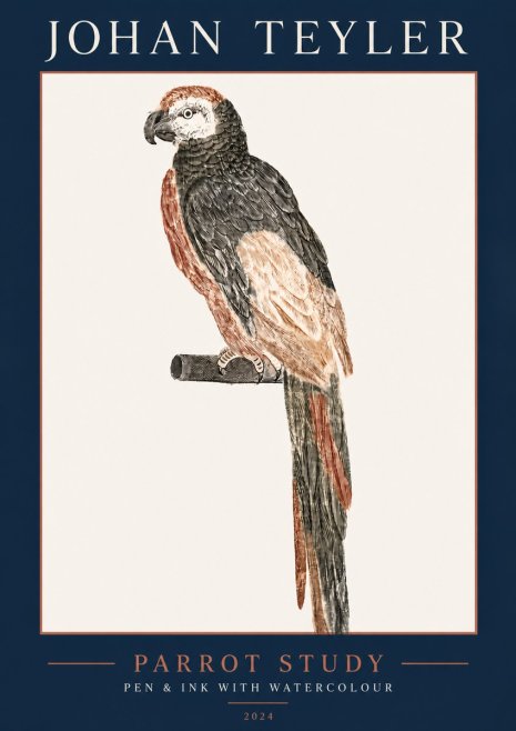 Johan Teyler Parrot Study II No5 - Poster