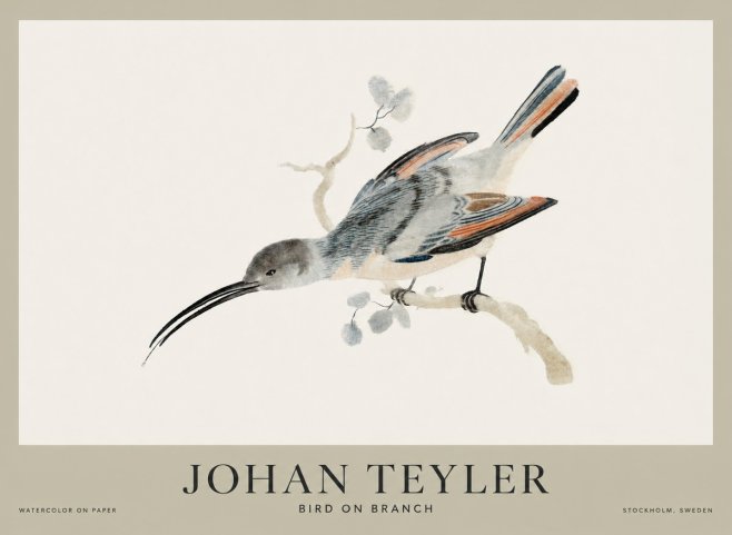 Johan Teyler Bird on Branch I No1 - Poster