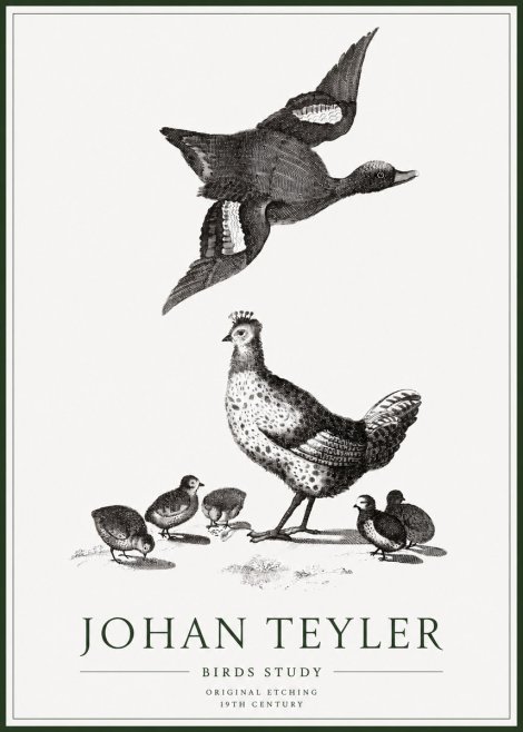 Johan Teyler Birds Study No1 - Poster