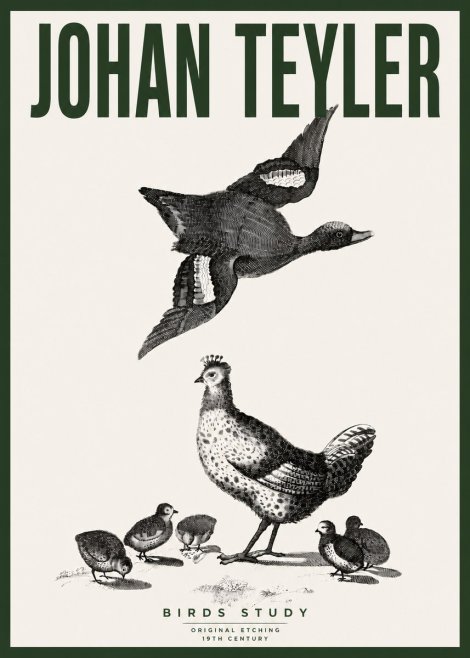 Johan Teyler Birds Study No4 - Poster