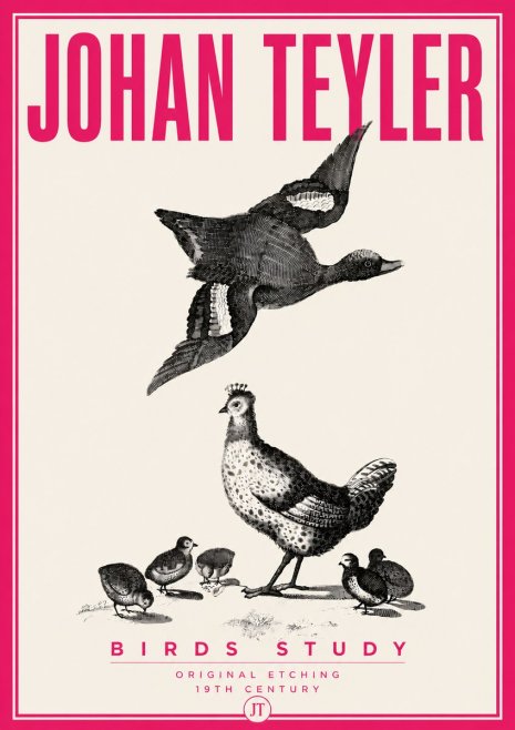 Johan Teyler Birds Study No6 - Poster