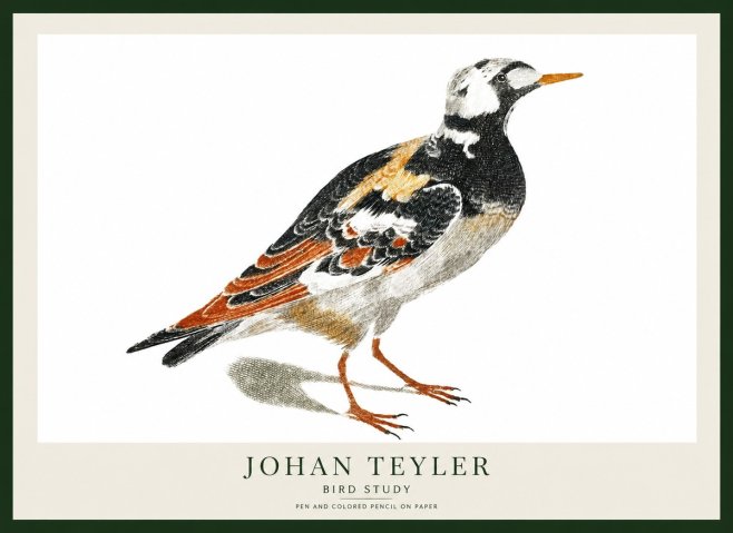 Johan Teyler Bird Study IV No1 - Poster