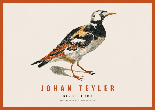 Johan Teyler Bird Study IV No2 - Poster