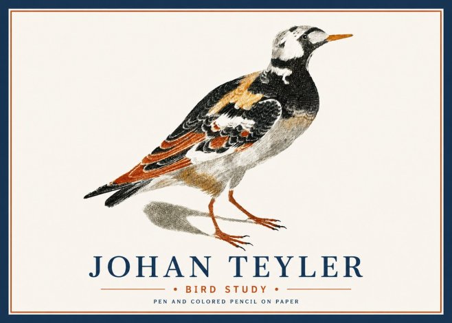 Johan Teyler Bird Study IV No6 - Poster